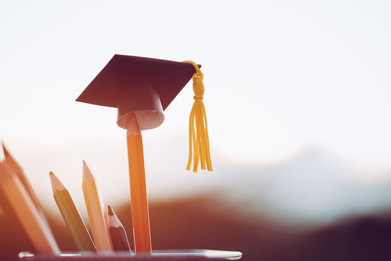 Education Graduate study concept: Black Graduation hat on pencils, blur of view outdoor. Ideas knowledge learning success, Back to School