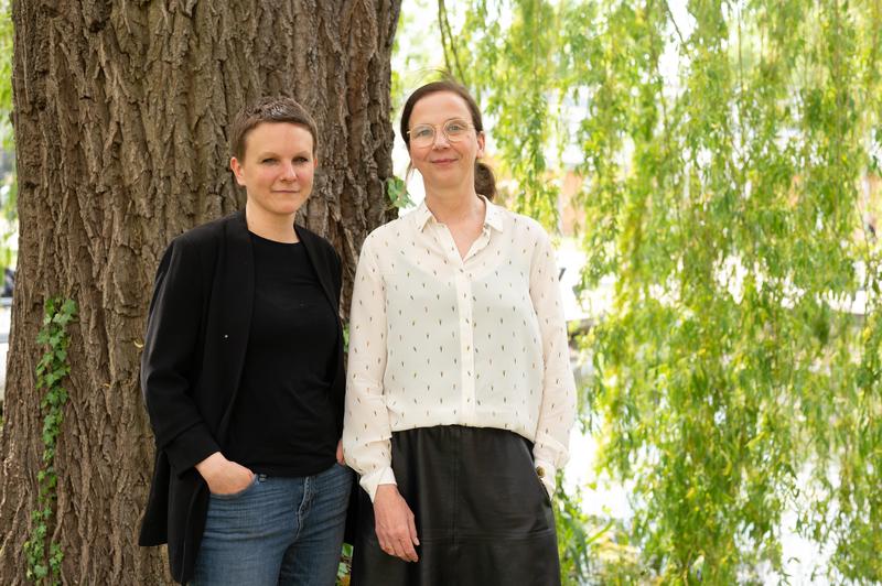 fleischmann müllre