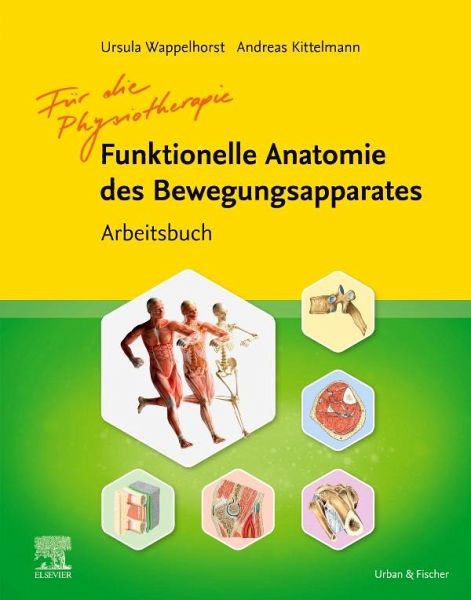 funktionelle anatomie bewegungsapparat 2