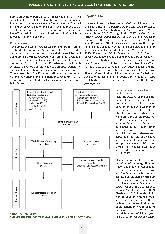 carelit_241975_4.jpg