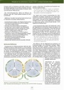 carelit_234007_4.jpg