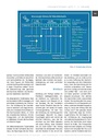 carelit_201314_4.jpg